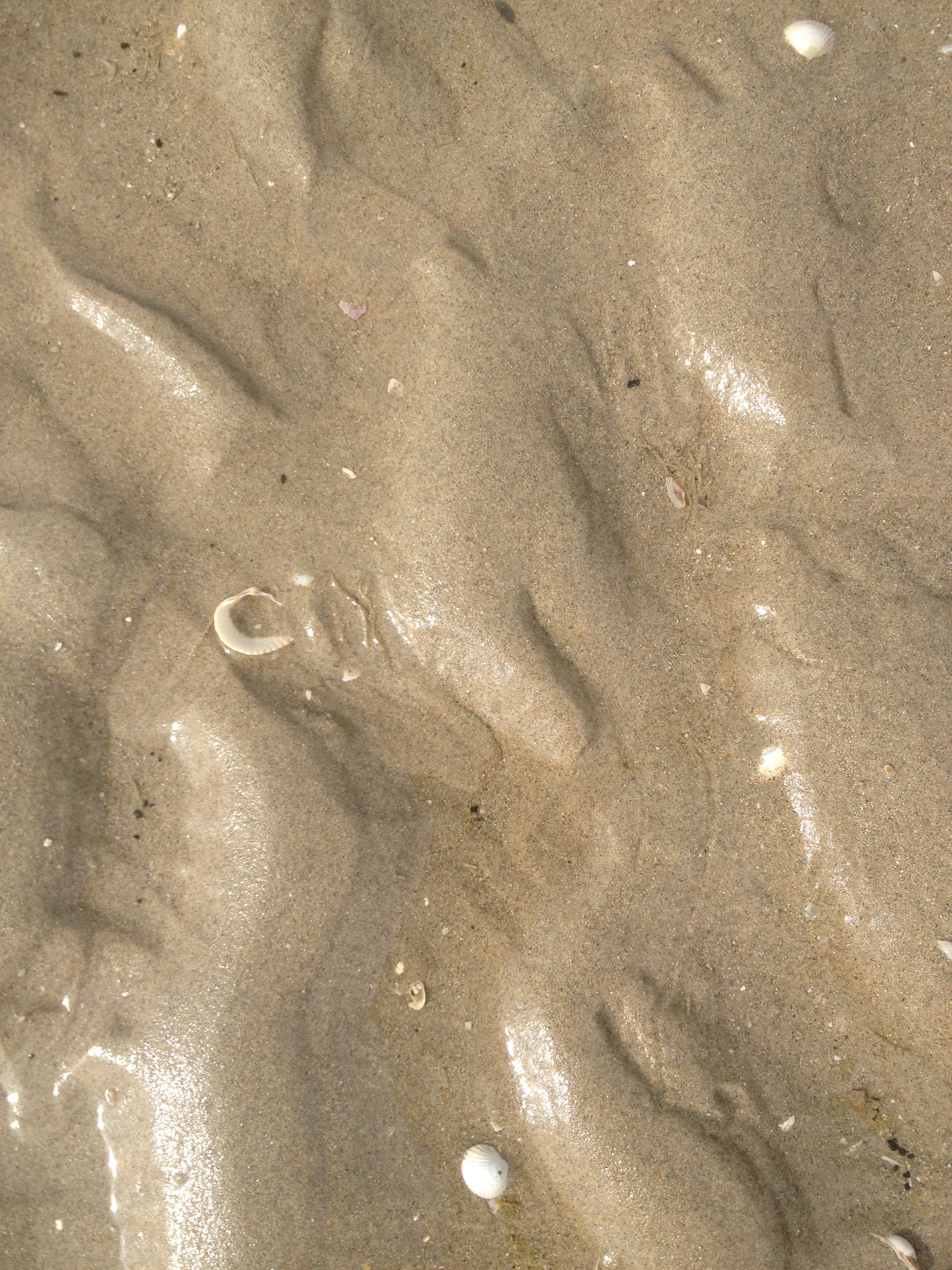 sable au Crotoy