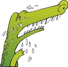 crocodile en larmes